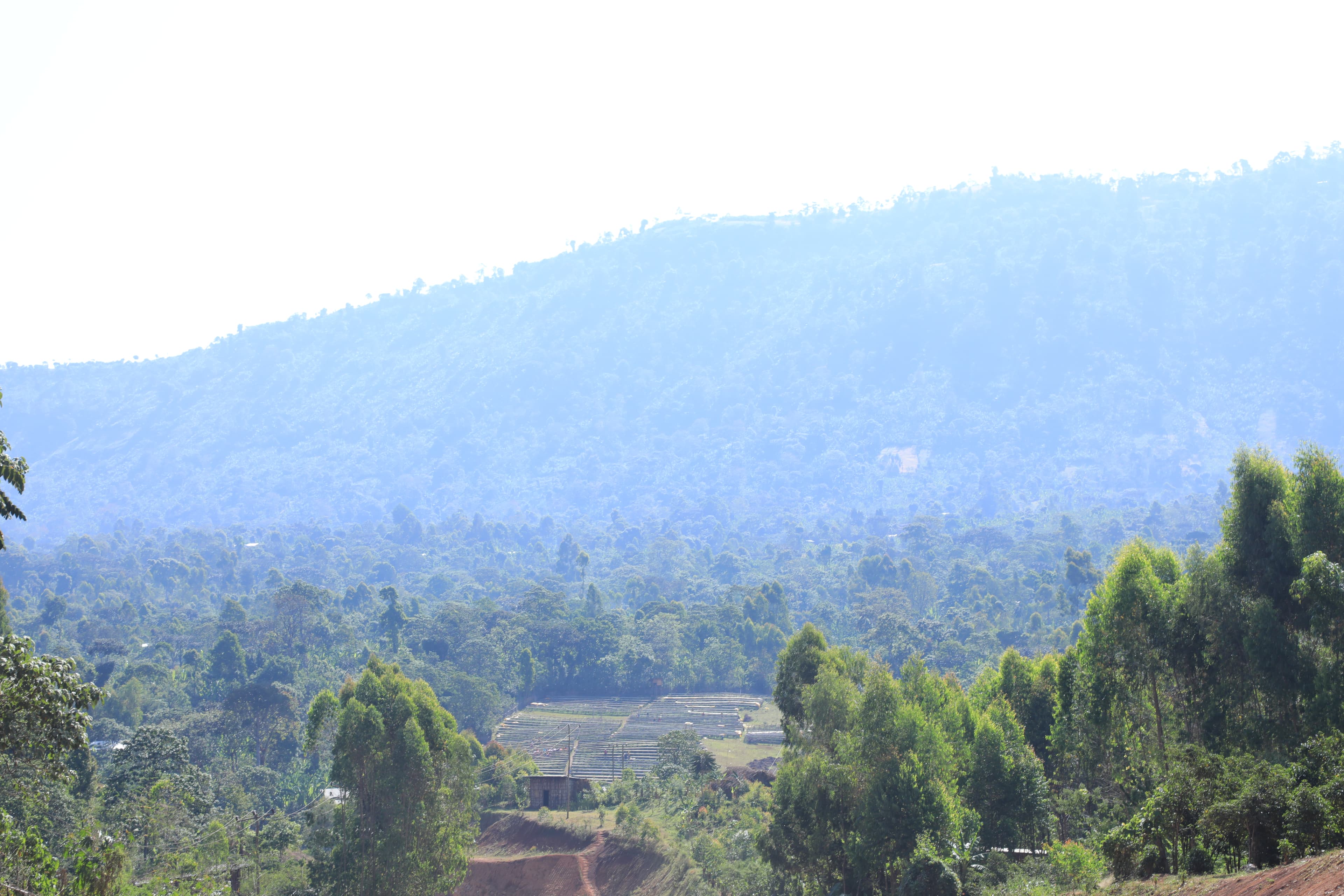 enviromental conservation project