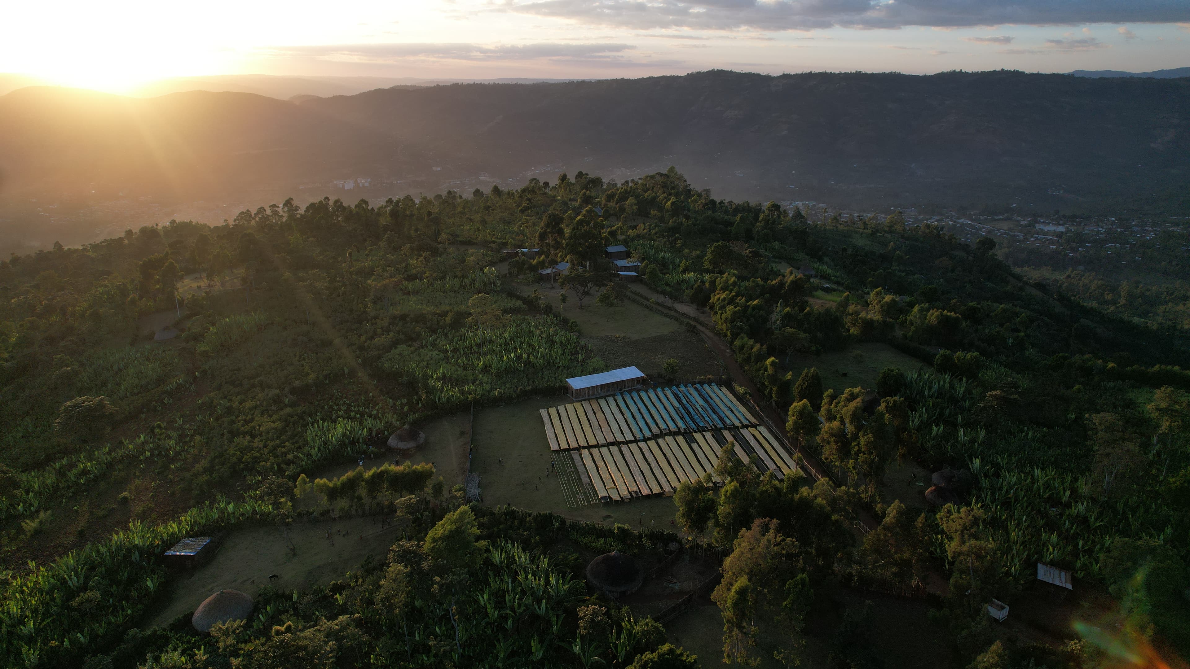 Sustainable Practices