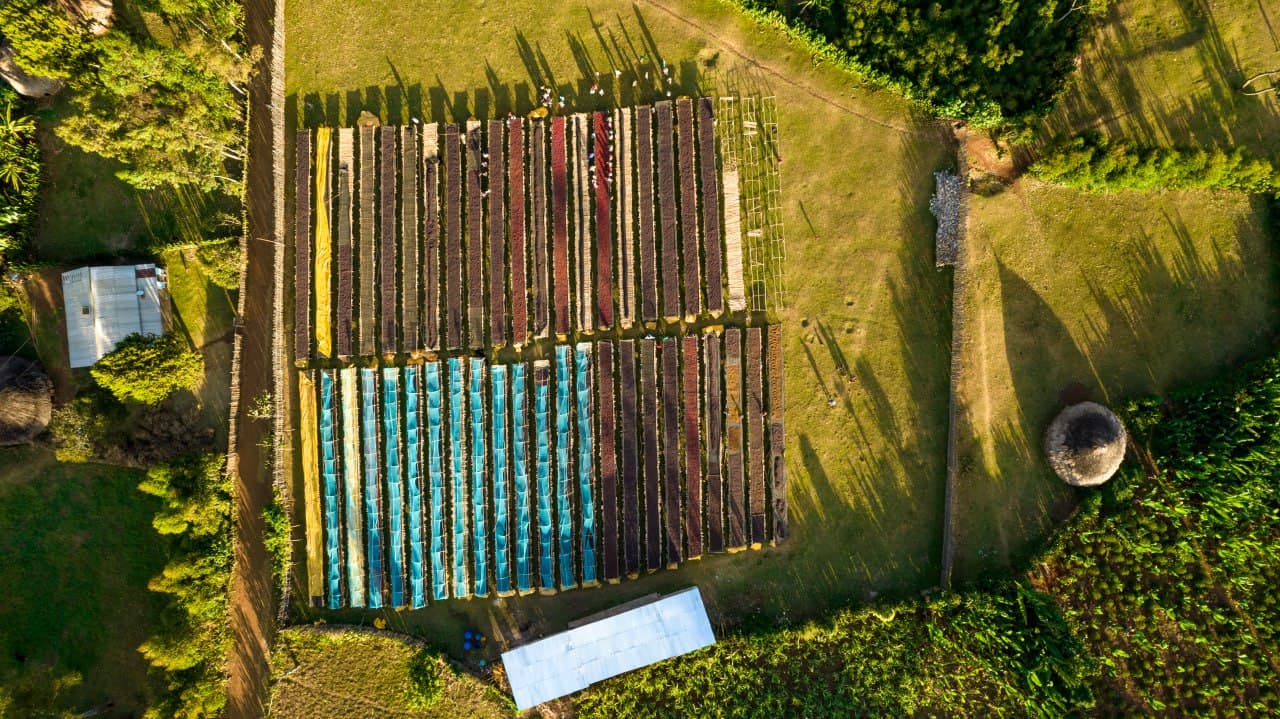 Environmental conservation project